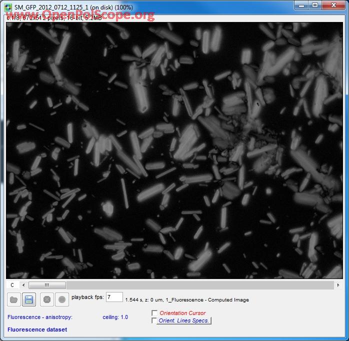 GFP Crystals Fluorescence-Anisotrophy Image
